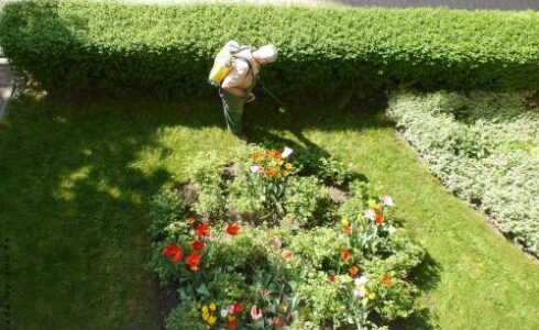 Naturopath Kitchener